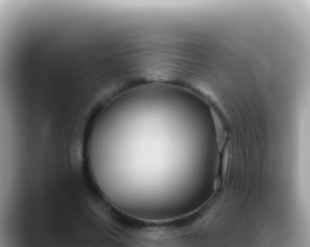 X0000088730686200706071640