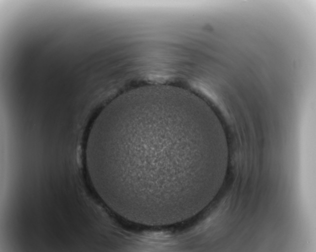 X0000088730689200706071640