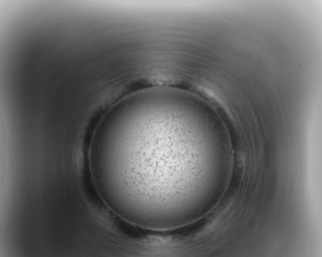X0000088730690200706071640