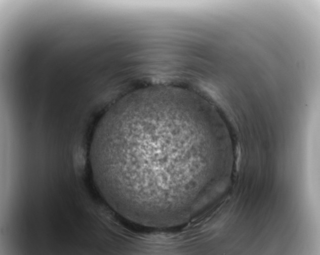 X0000088730691200706071640