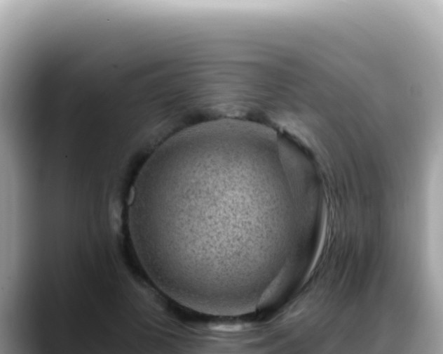 X0000088730693200706071640