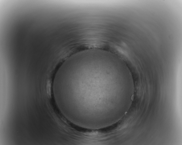 X0000088730695200706071640