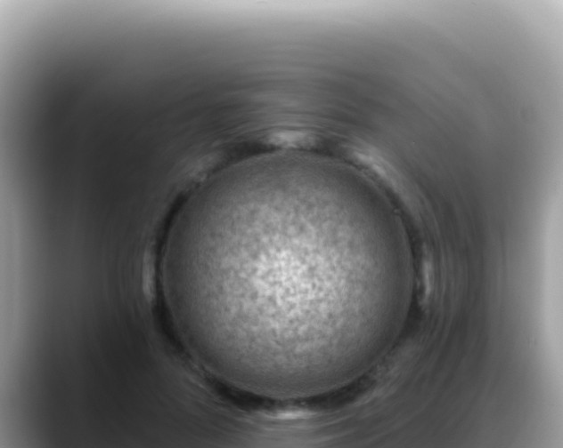 X0000088730696200706071640