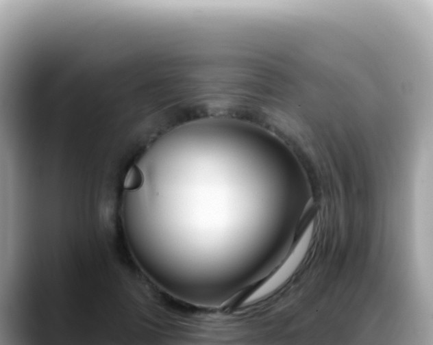 X0000088730698200706071640