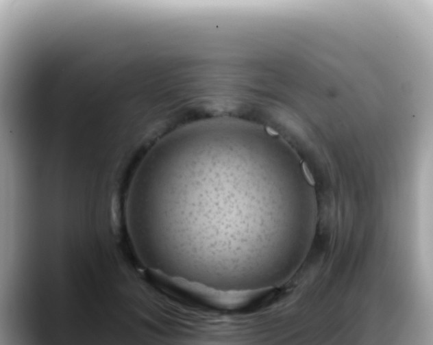 X0000088730700200706071640