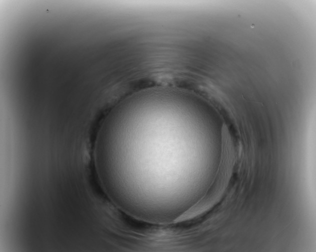 X0000088730702200706071640