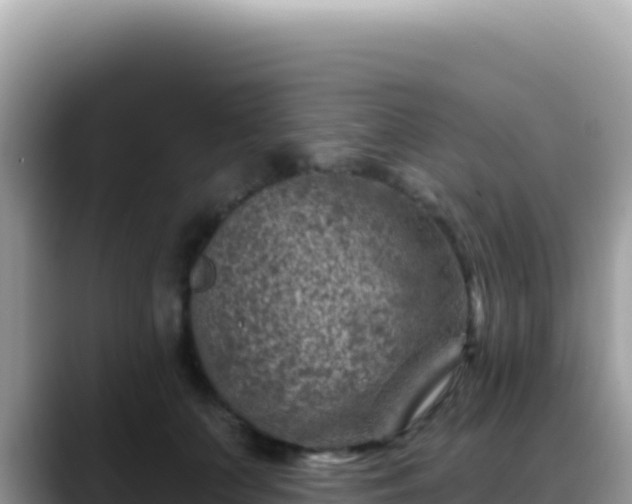X0000088730703200706071640