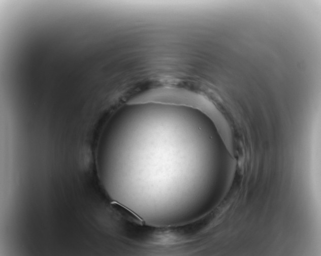 X0000088730704200706071640