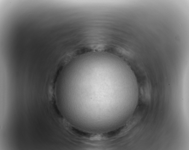 X0000088730705200706071640