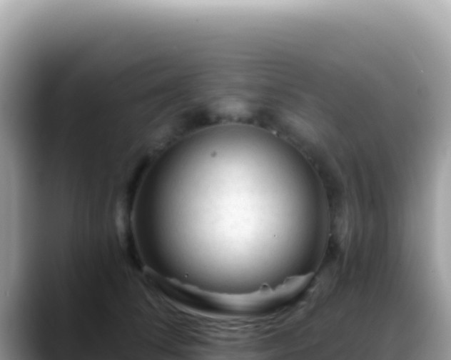 X0000088730708200706071640
