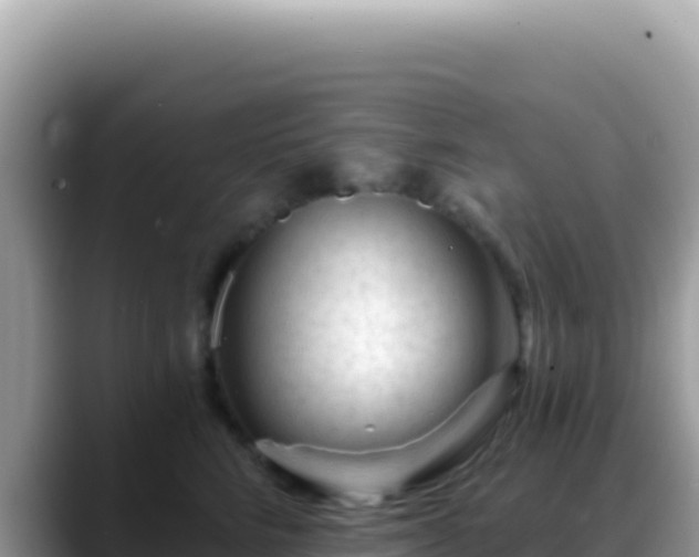 X0000088730712200706071640
