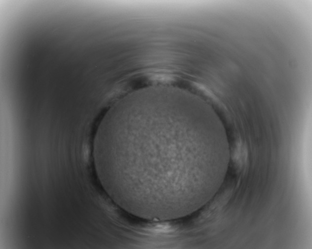 X0000088730715200706071640