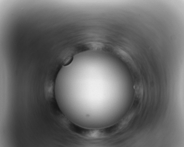 X0000088730717200706071640