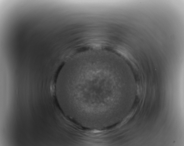 X0000088730718200706071640
