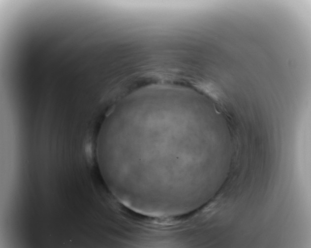 X0000088730720200706071640