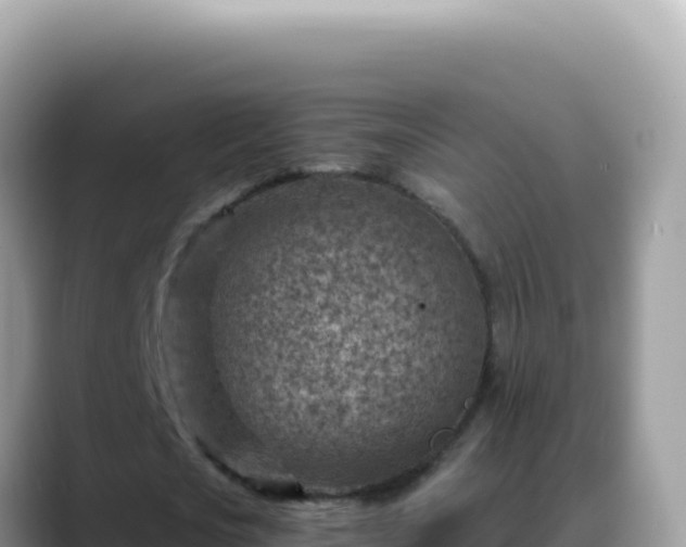 X0000088730721200706071639