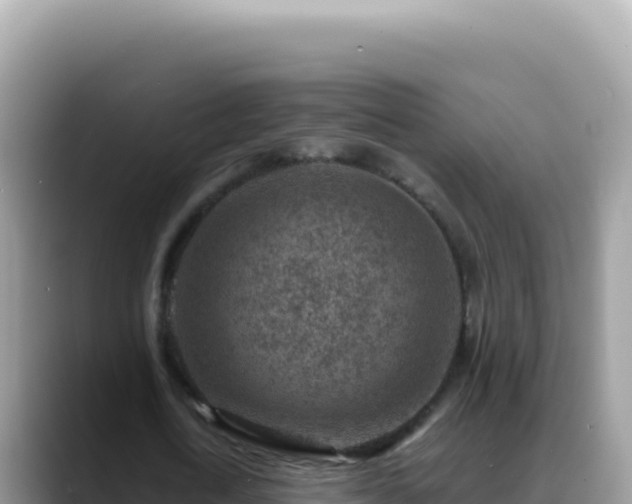 X0000088730722200706071639