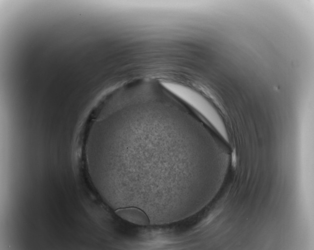 X0000088730723200706071639