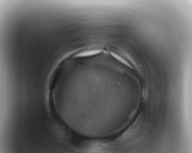 X0000088730724200706071639