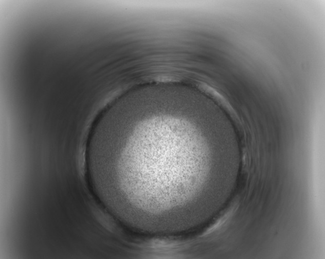 X0000088730725200706071639