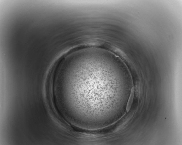 X0000088730726200706071639