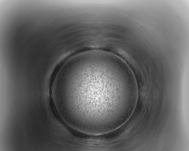 X0000088730727200706071639