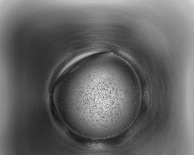 X0000088730730200706071639