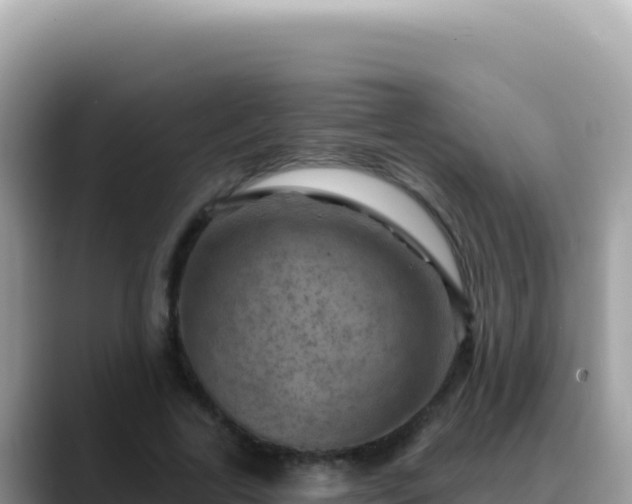 X0000088730731200706071639