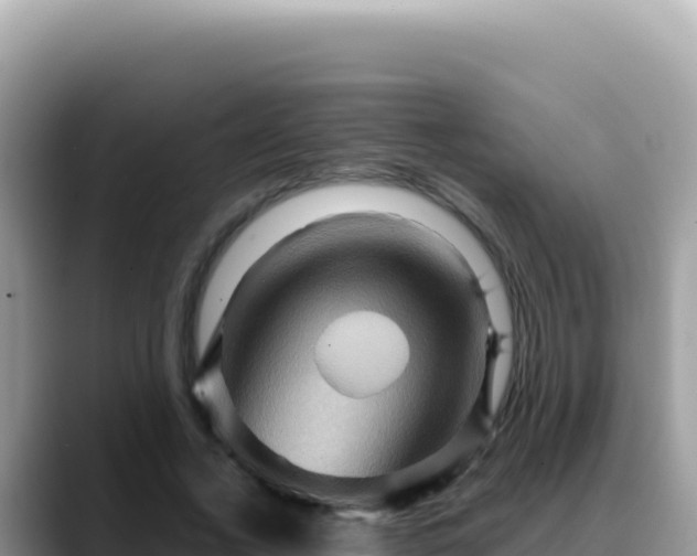 X0000088730732200706071639