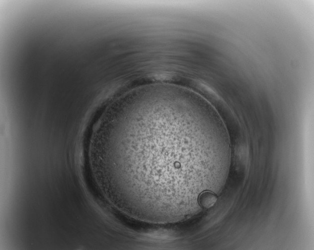 X0000088730734200706071639