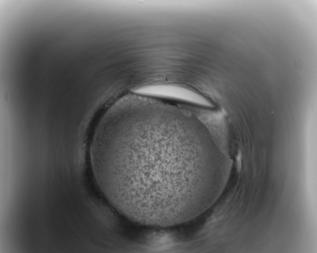 X0000088730735200706071639