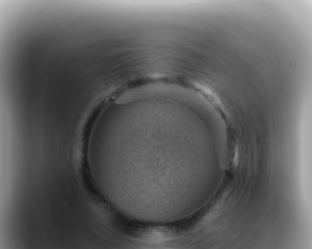 X0000088730736200706071639