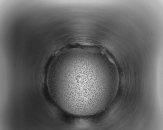 X0000088730739200706071639