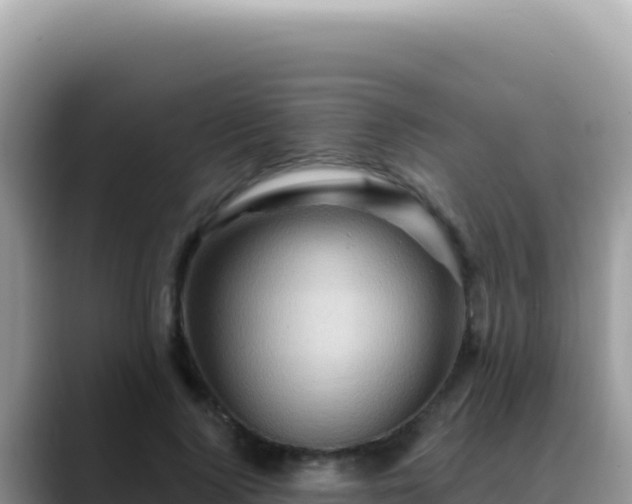 X0000088730740200706071639