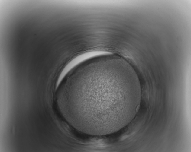 X0000088730742200706071639