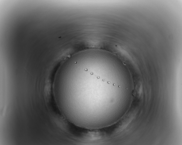 X0000088730744200706071639
