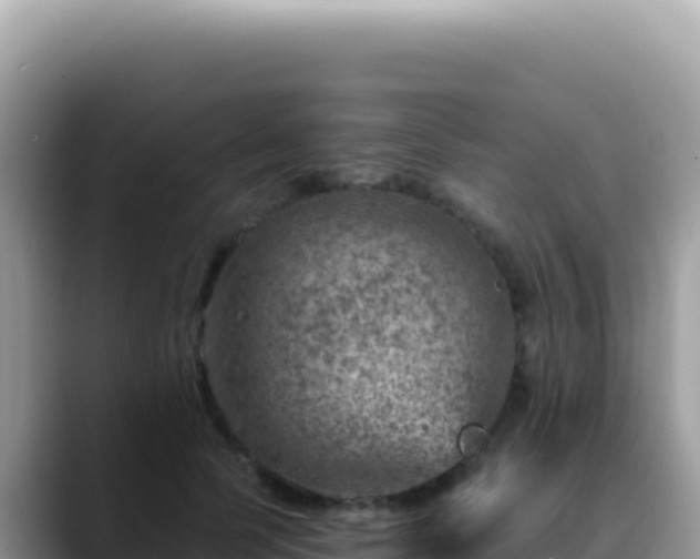 X0000088730745200706071639