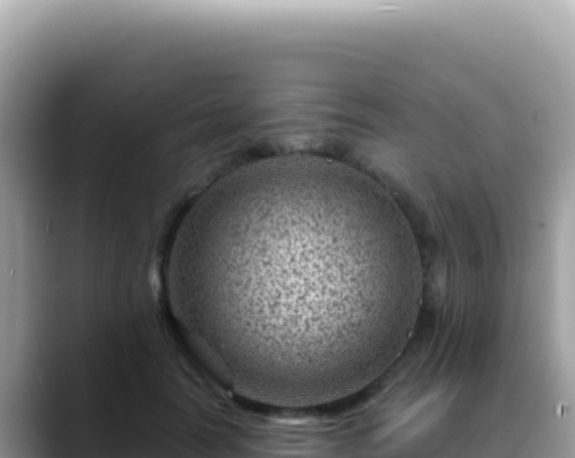 X0000088730746200706071639