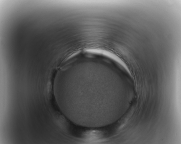 X0000088730748200706071639