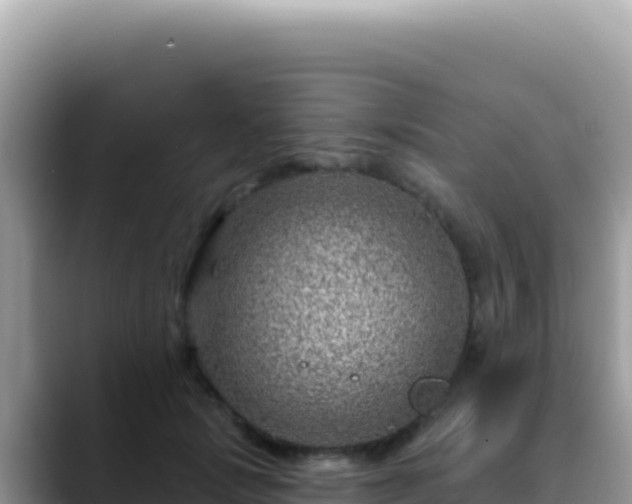 X0000088730749200706071639