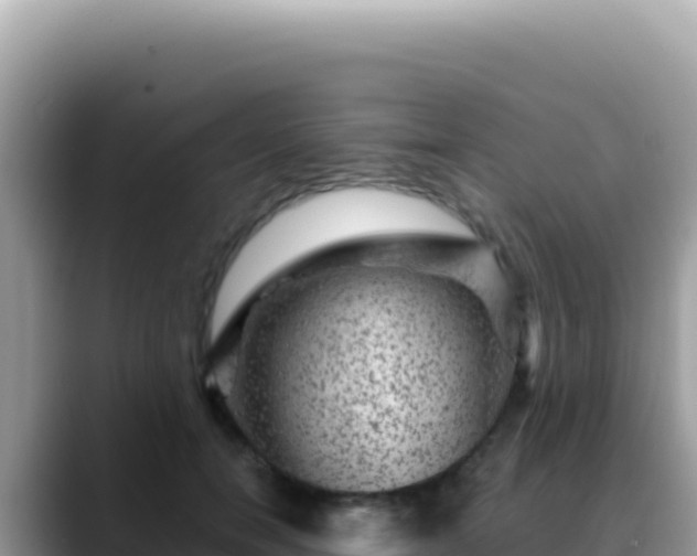 X0000088730750200706071639