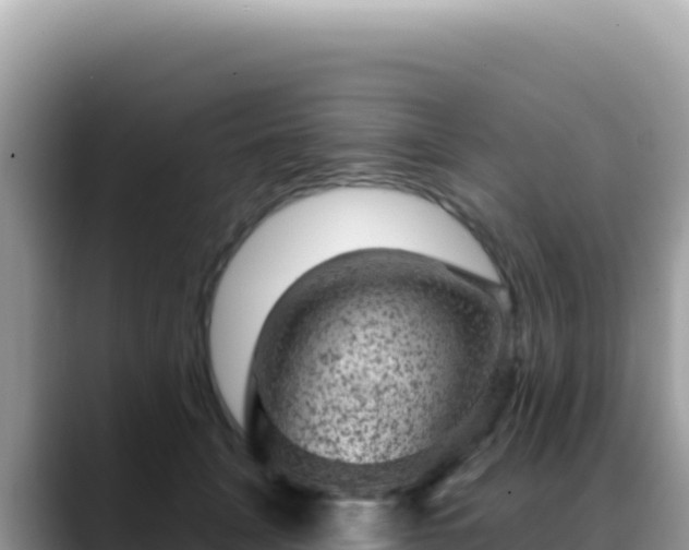 X0000088730751200706071639