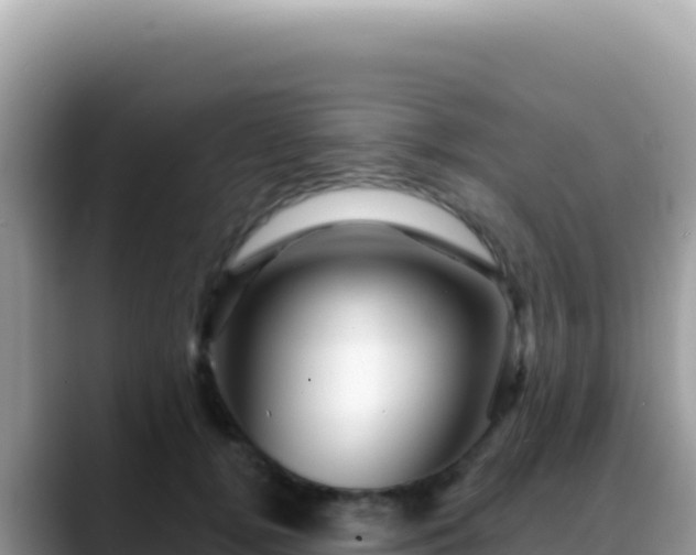 X0000088730752200706071639