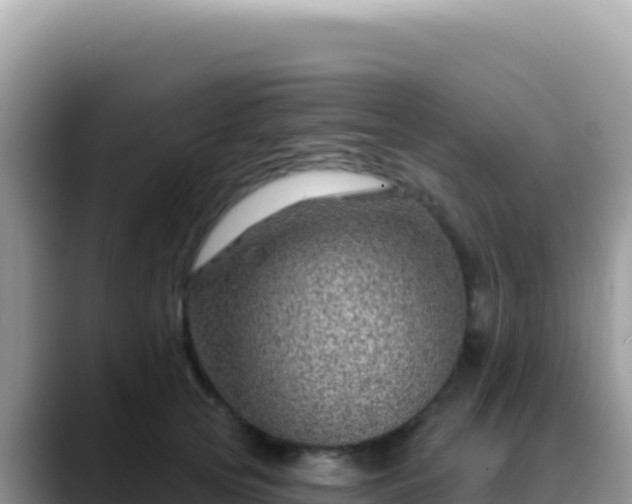 X0000088730753200706071639