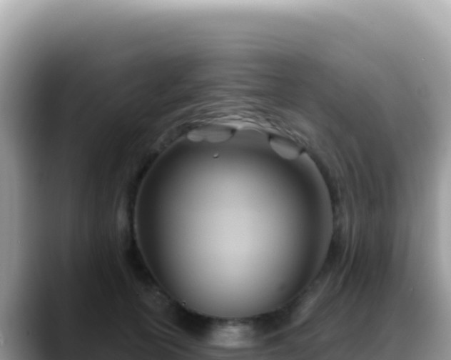 X0000088730754200706071639