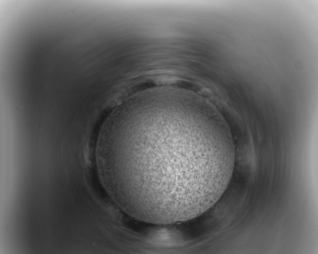 X0000088730755200706071639