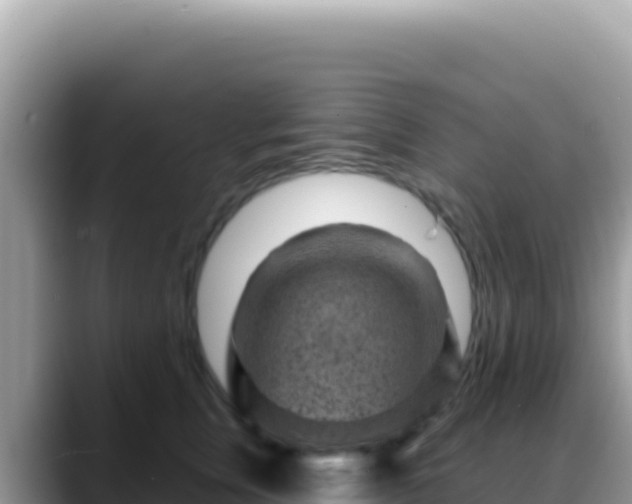 X0000088730759200706071640