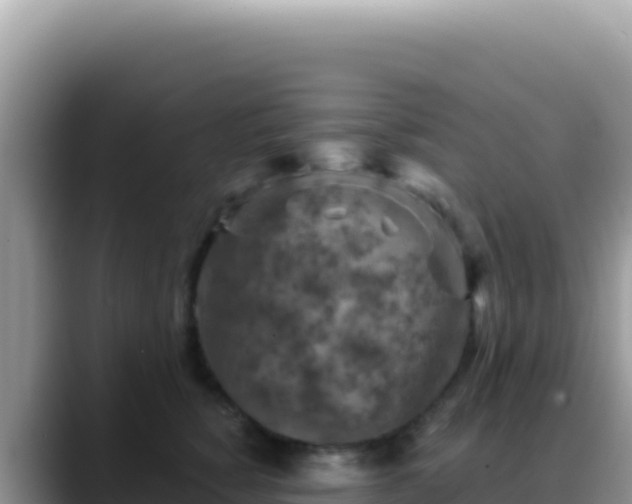 X0000088730760200706071640