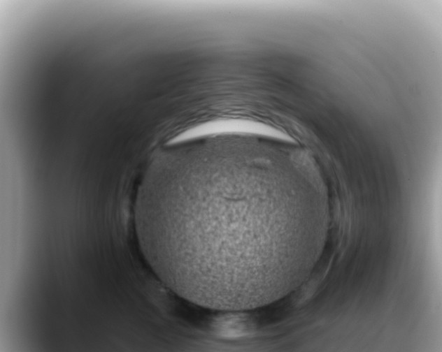 X0000088730761200706071640