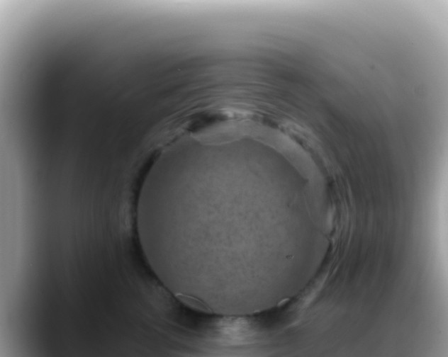 X0000088730762200706071640
